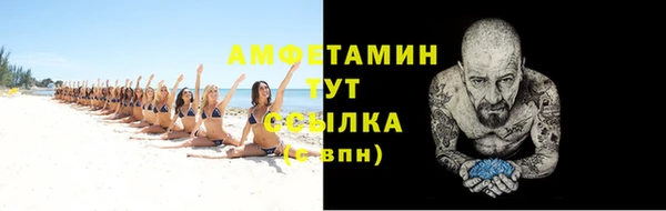 крисы Абаза