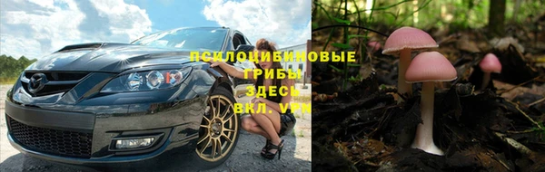 бошки Алексеевка