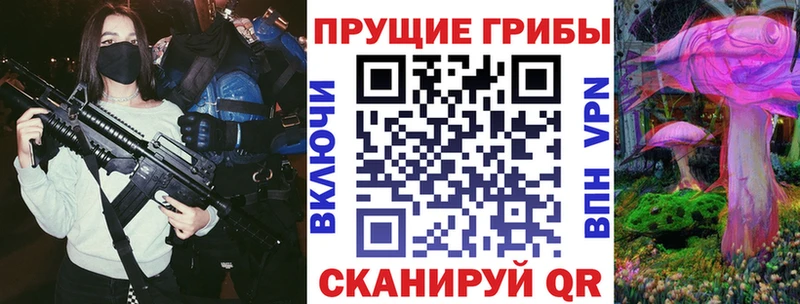 Псилоцибиновые грибы Cubensis  Пыталово 