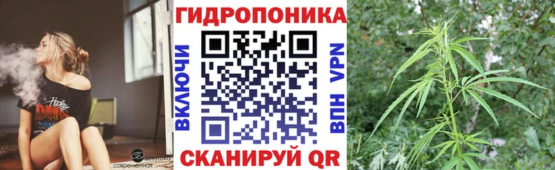 Бошки марихуана конопля Пыталово